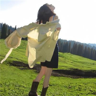 忘掉莎拉·马歇尔海报